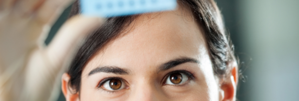 Key principles banner image